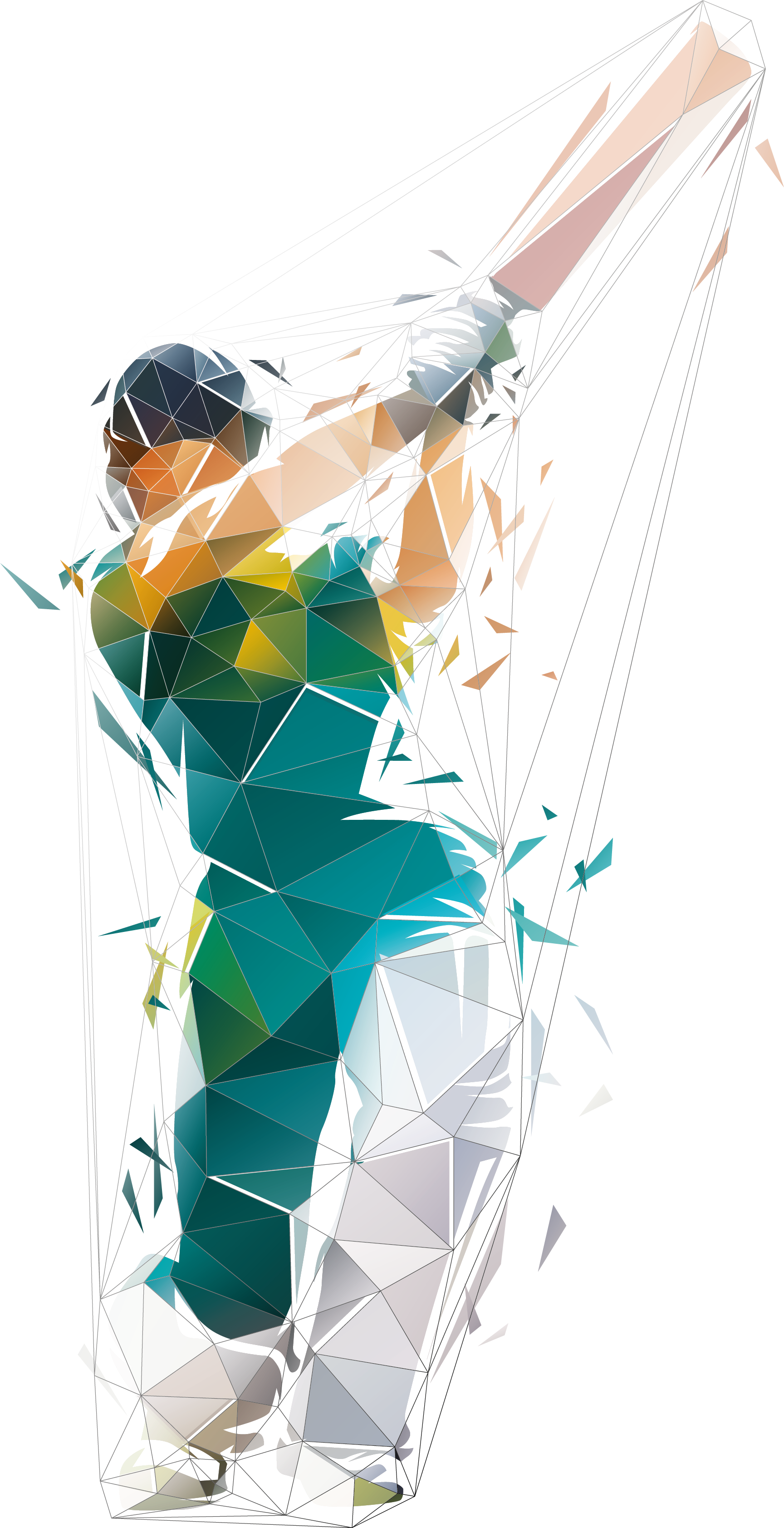 Jamestown Analytics Football & Soccer Player & Coach Analysis